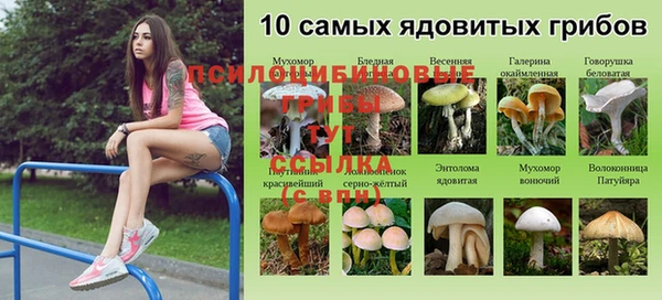каннабис Тихорецк