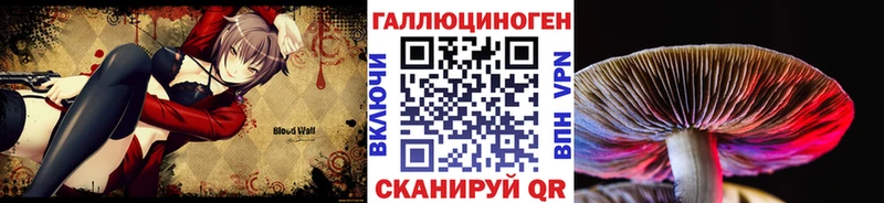 что такое наркотик  Курган  кракен зеркало  Галлюциногенные грибы мухоморы 