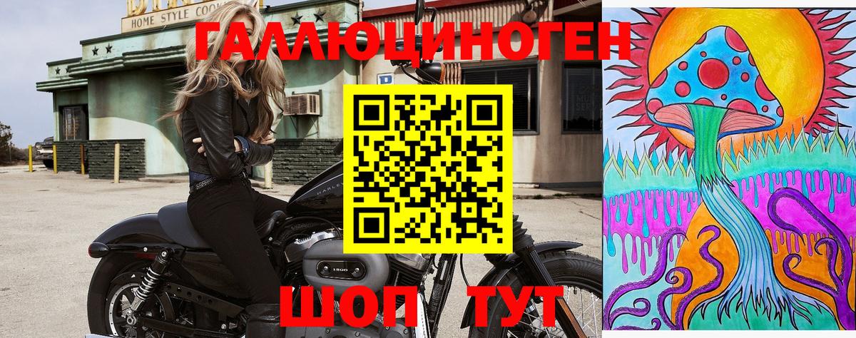 Псилоцибиновые грибы Cubensis  Курган 