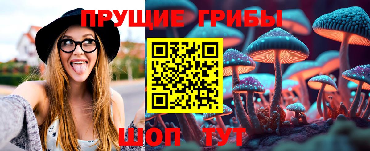 Галлюциногенные грибы мухоморы  Галлюциногенные грибы Magic Shrooms  Курган  Вход с VPN 