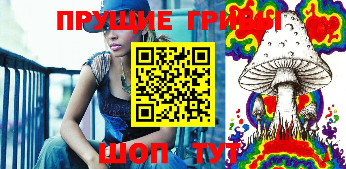 Псилоцибиновые грибы мицелий Курган